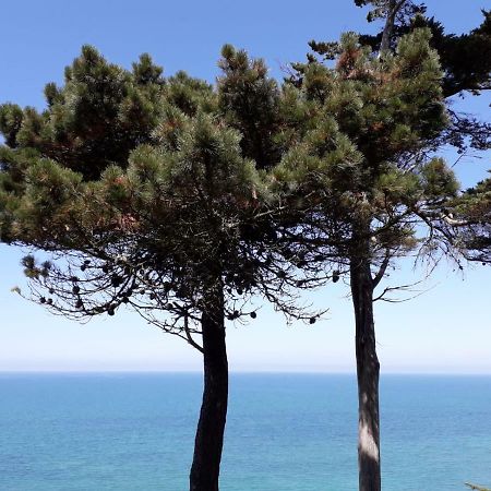 Granville Plage Plat Gousset מראה חיצוני תמונה